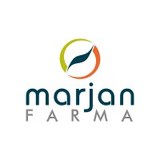 Marjan